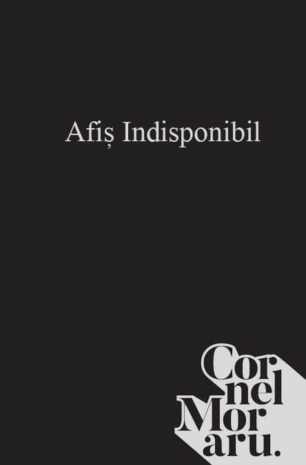Artă și virtualitate.  Două modele posibile pentru o estetică a virtualului